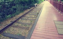 龍之盈游樂(lè)二代軌道小火車廠家直銷，價(jià)格透明