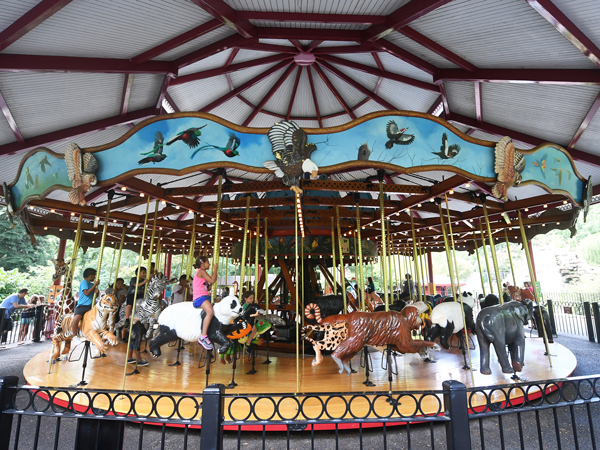 <b>豪華轉(zhuǎn)馬</b>